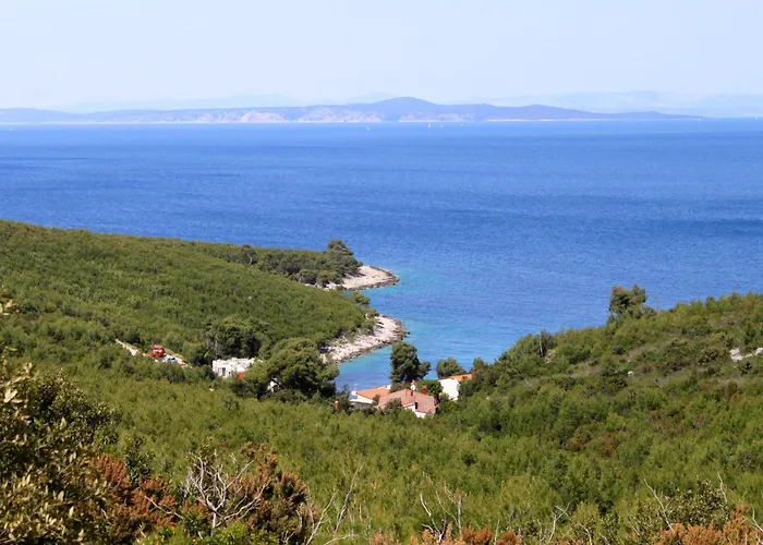 Apartments By The Sea Cove Zastupac, Hvar - 8761