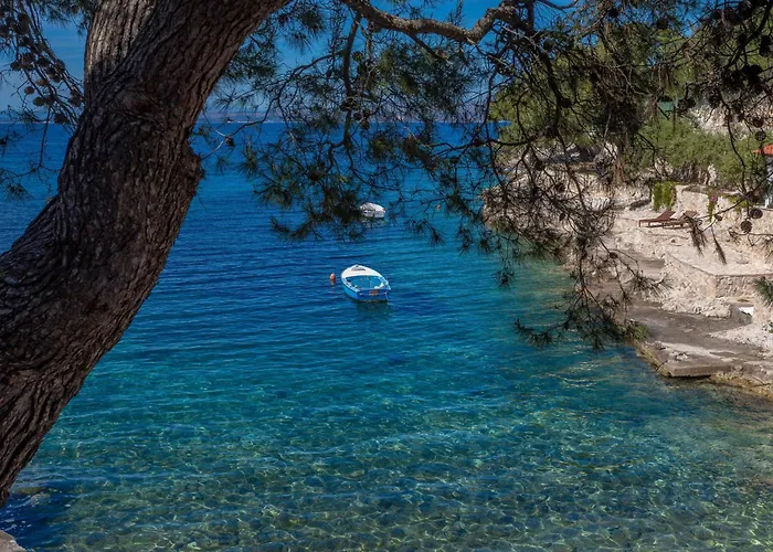 Apartments By The Sea Cove Zastupac, Hvar - 8761